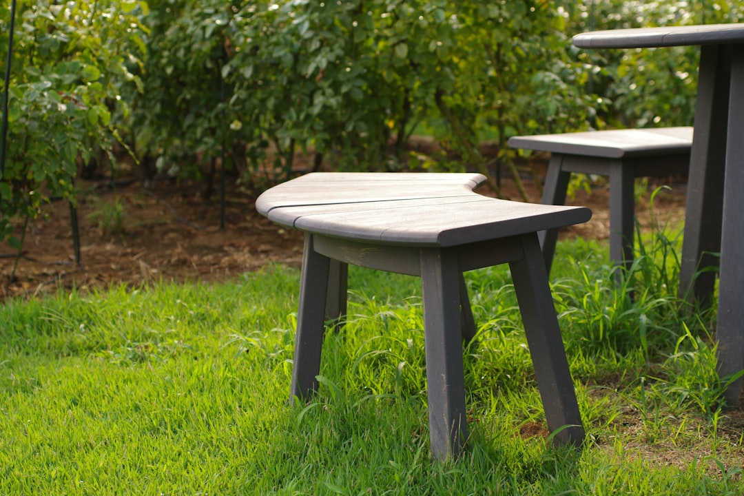A couple of benches sitting on top of a lush green field