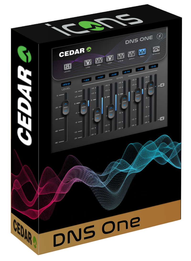 CEDAR DNS One