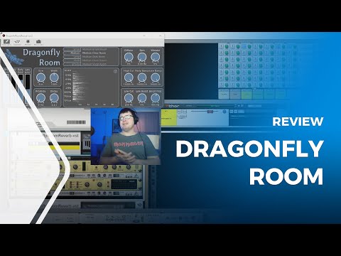 Dragonfly Room Review + リバーブ Tutorial