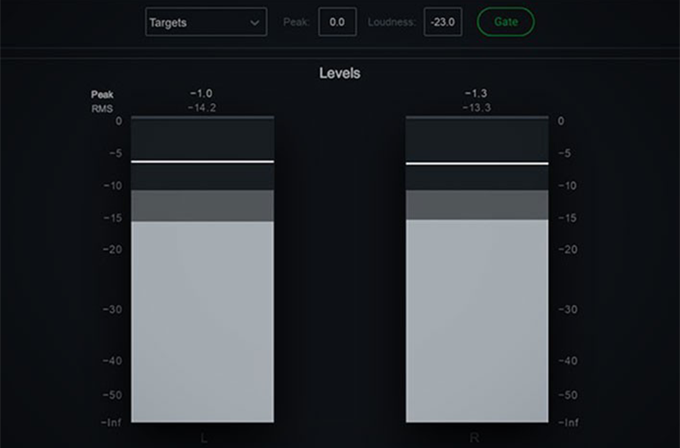 iZotope Insight 2 必要なメーターを並べ替えて見やすくできる