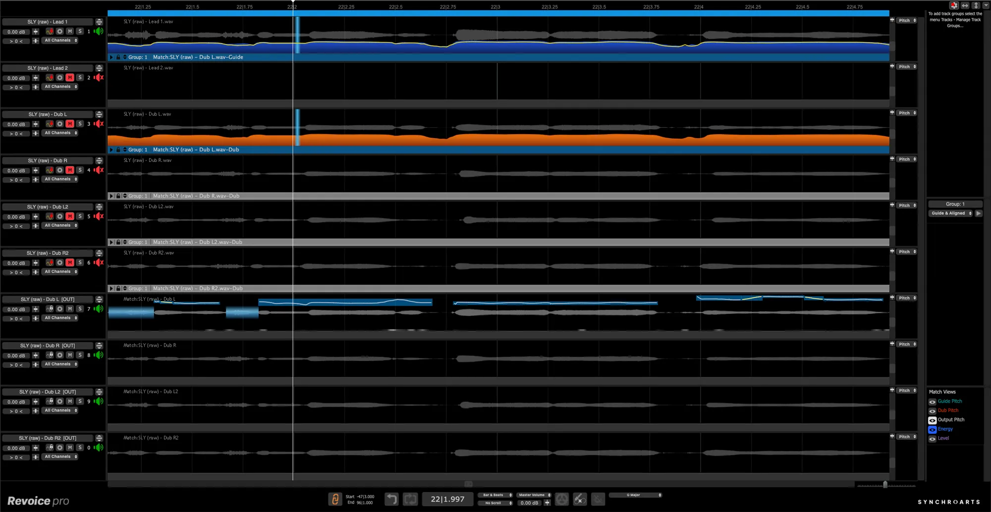 Synchro Arts Revoice Pro 5